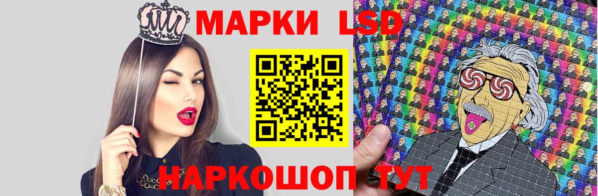 Бердск  Марки N-bome 1500мкг  Вход с VPN  Марки N-bome 1500мкг 