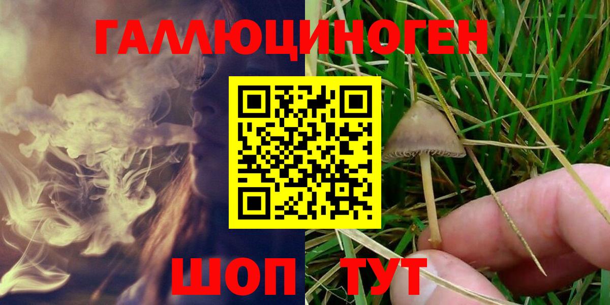 Галлюциногенные грибы GOLDEN TEACHER  Вход с VPN  Бердск 